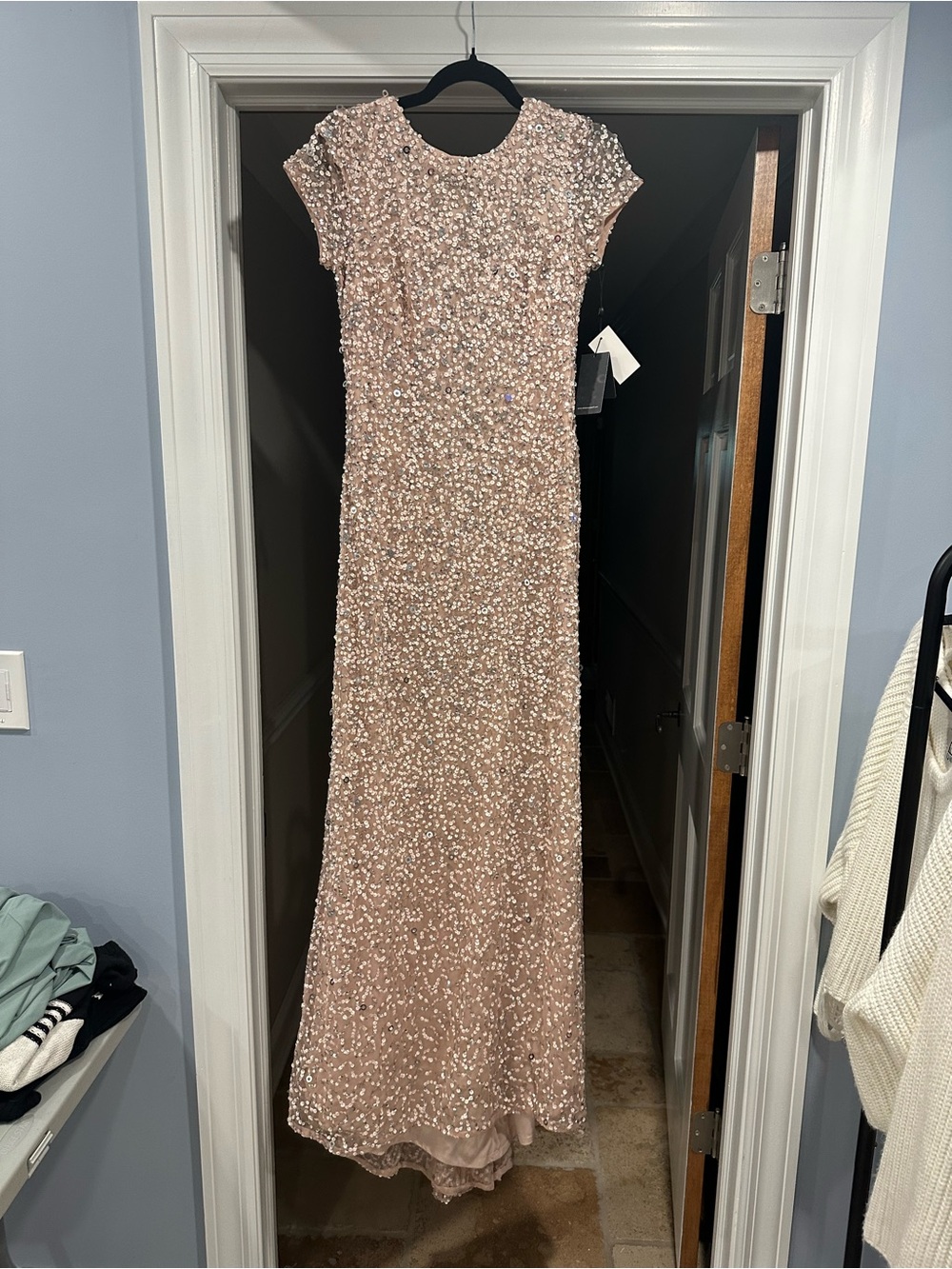 Adrianna Papell Blush Sequin Cap-Sleeve Maxi Gown